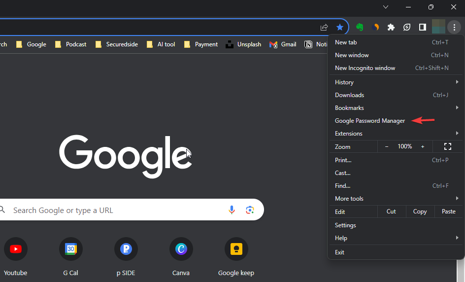 google password manager setting